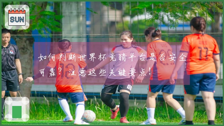 如何判断世界杯竞猜平台是否安全可靠？注意这些关键要点！